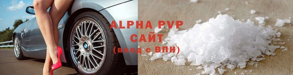 СК Вязьма
