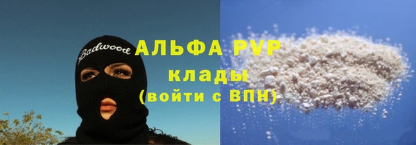 СК Вязьма