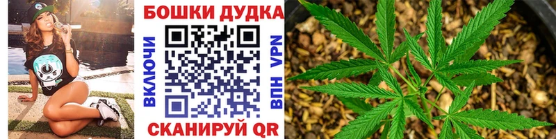 Конопля OG Kush  Купить  Мирный 